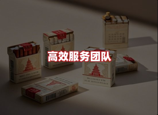 专业团队